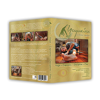 Printed Outer DVD Cover - Wrap<br>1 Sided, 4/0